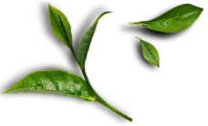deco.png